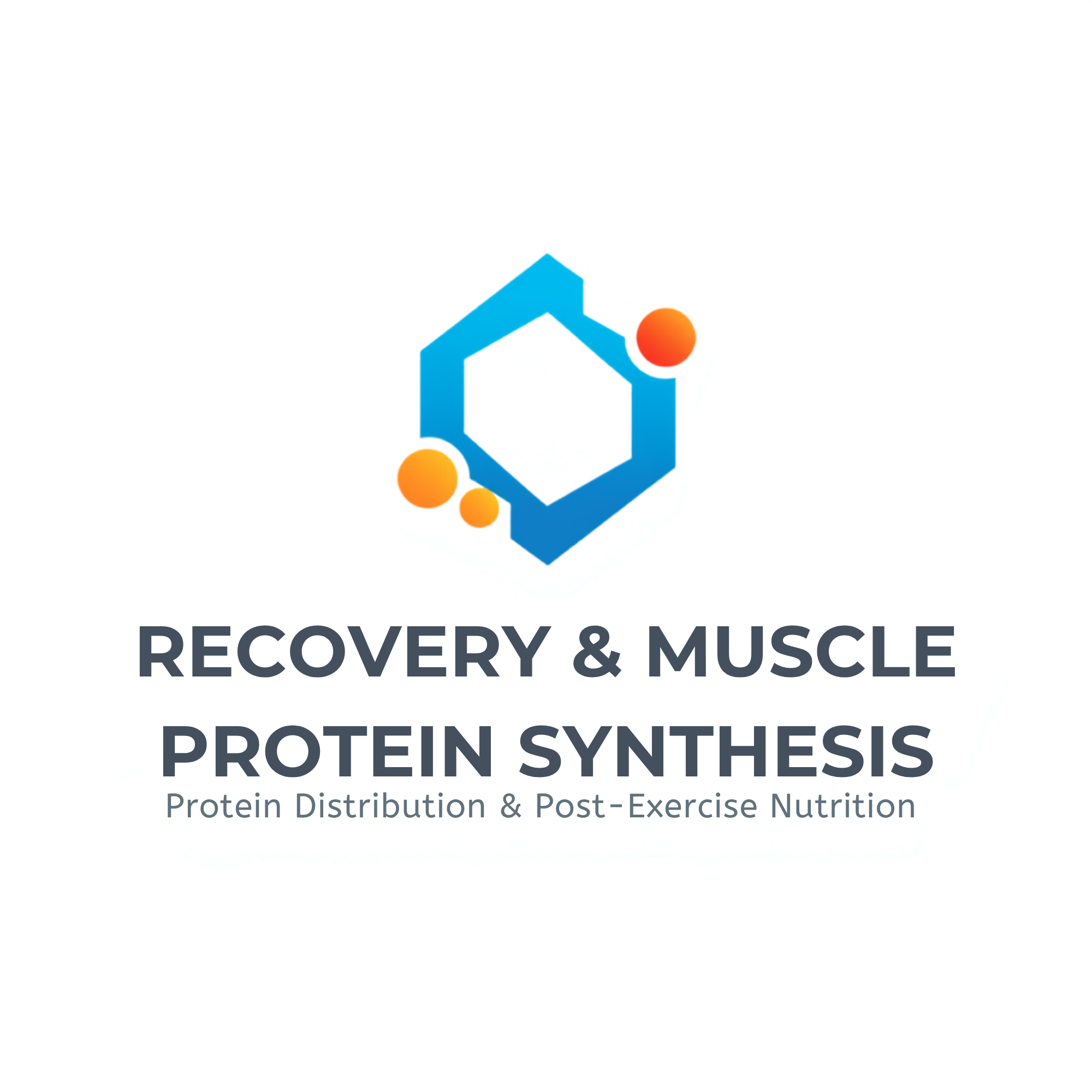 Recovery & Protein Synthesis A